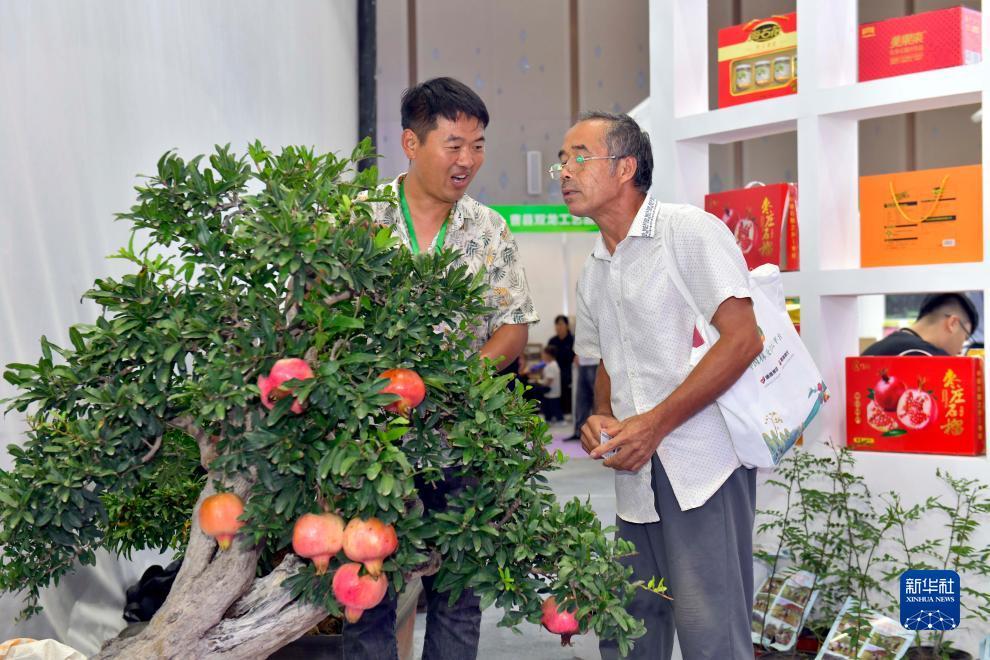 奔驰宝马娱乐官方网站